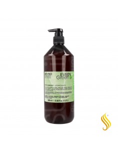 DIKSON EVERYGREEN ANTI FRIZZ CH 1000ML